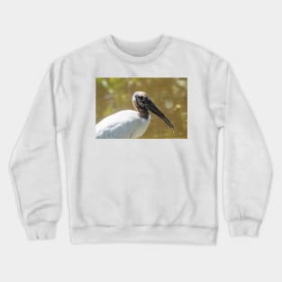 Wood stork in  wildlife preserve Crewneck Sweatshirt